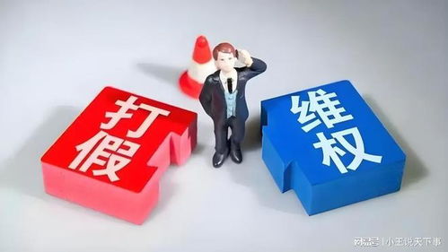 職業(yè)打假人的法律邊界 從吳亞萍法官判決看知識產(chǎn)權(quán)服務(wù)的角色與爭議