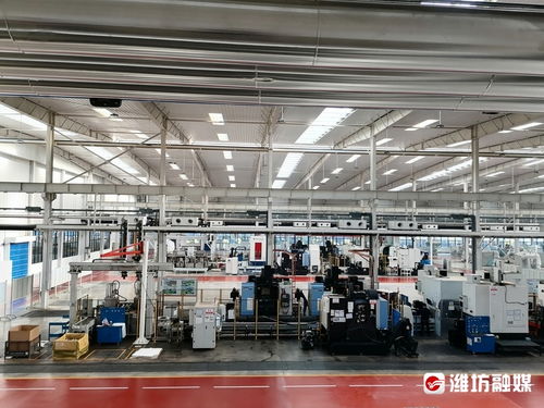 鏈長賦能，數字廣告發布助推昌邑市鏈主企業高質量發展